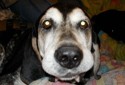 Cletus